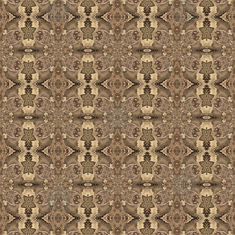 Product name: Recursia Serpentine Dream I T-Shirt Dress. Keywords: Clothing, Print: Serpentine Dream, T-Shirt Dress, Women's Clothing